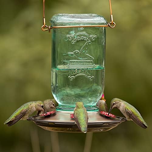 А за колибри More Birds Mason Jar, Стъклени Хранилки за Колибри на открито, 5 Места за хранене, от 25 Грама