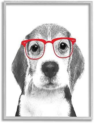 Stupell Industries Очарователен Монохромен илюстрация Кученце Бигля в Червени Очила, Дизайн Аннализы Лателлы