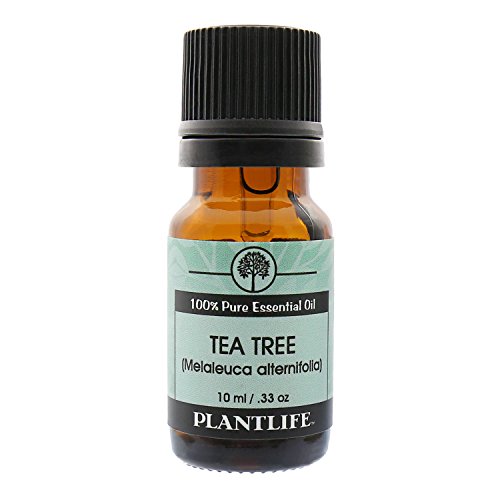 Ароматерапевтическое етерично масло от чаено дърво Plantlife - Директно от растенията, Чист Терапевтичен клас
