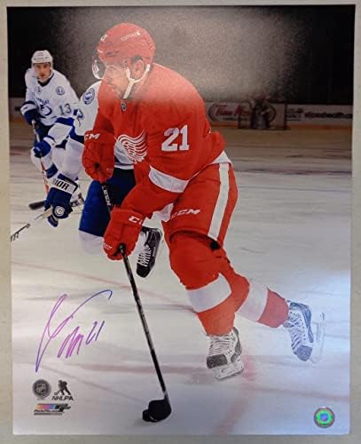 Томаш Татари с автограф на Детройт Ред Уингс 16x20 Снимка 2 - Снимки на НХЛ с автограф