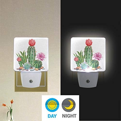 Naanle Комплект от 2 Акварельных Кактуси Сочен Тропически Цветя Цвете Лист Камък Автоматичен Сензор LED От Здрач