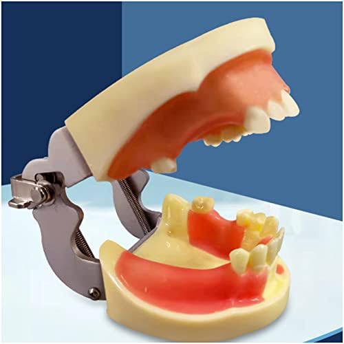 Модел на Зъбен Имплант KH66ZKY, Обучение Модел на Зъболекар, Обучение Модел на Зъболекар С Подвижни Смола За Общо