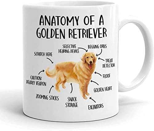 Чаша KrysDesigns Анатомия на златист ретривър - Кафеена чаша Сладко Golden Звученето Knowledge - Подарък халба за