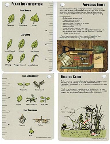 Карта на диви Ядливи Растения Обем 3-20 Джобен Пътеводител в нишки на основата на Комплект за оцеляване при Извънредни